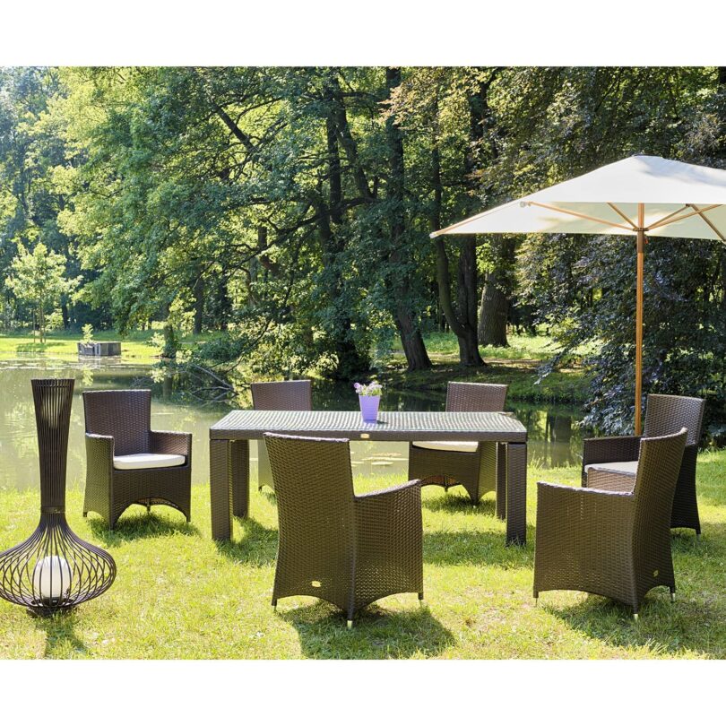 Set Darwin – Bild 4